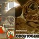 Odontogenesis